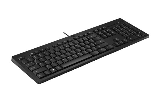 HP 125 Wired Keyboard - Compatible with Windows 10, Desktop PC, Laptop, Notebook USB Plug and Play Connectivity, Easy Cleaning 1YR WTY (266C9AA)